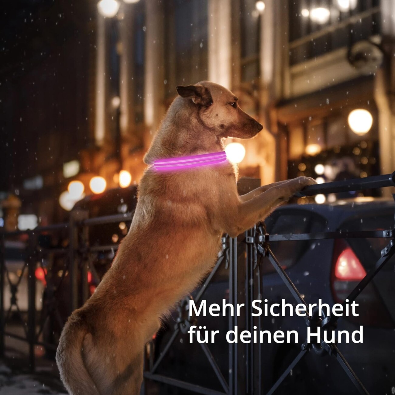 Petsation Leuchthalsband Hundehalsband pink L