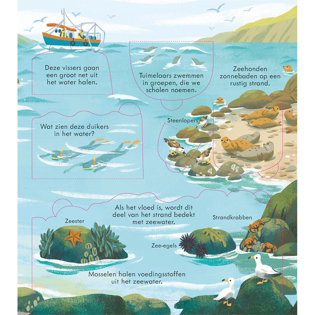 Usborne kijk binnen - zeeën en oceanen