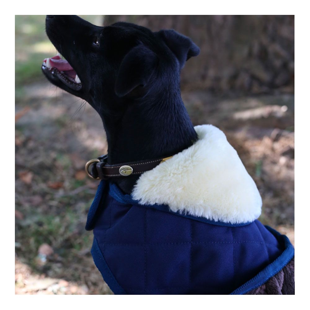 Kentucky ORIGINAL 160G - Couverture pour chien navy
