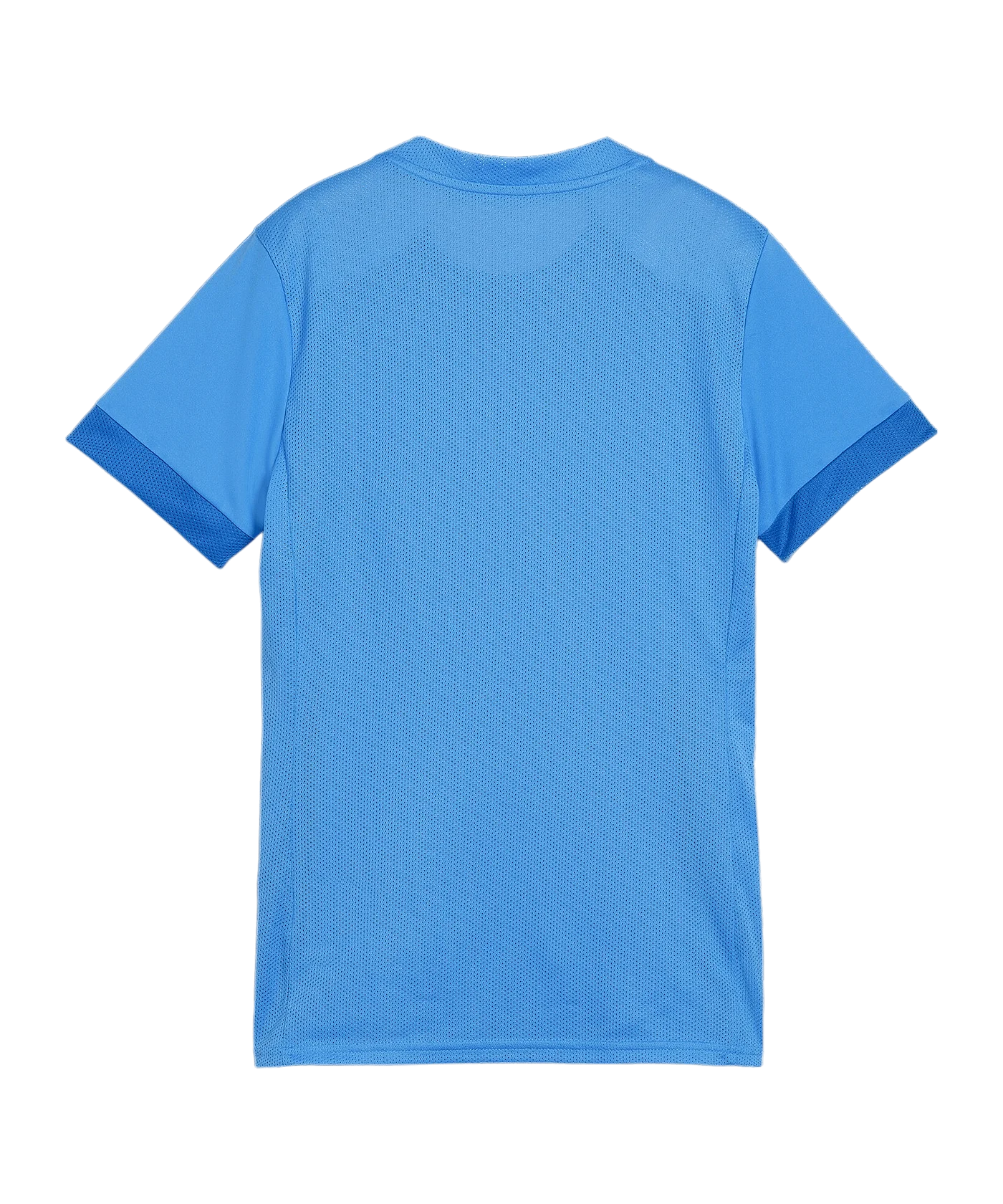 PUMA teamGOAL Matchday Trikot Damen Blau Weiss F02