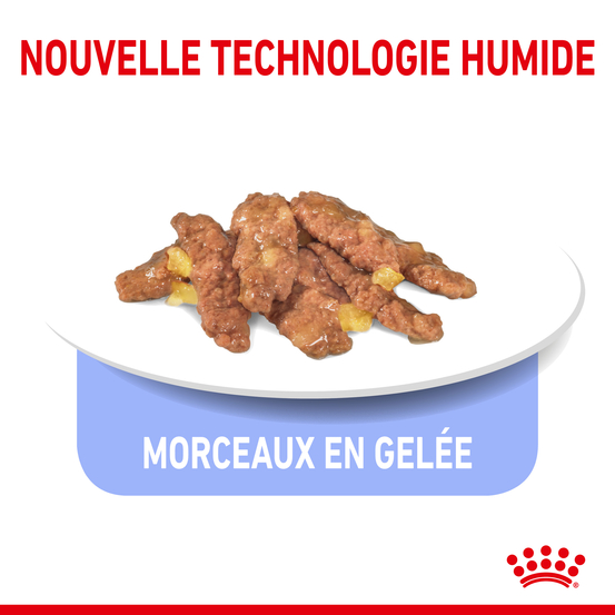 Gelée chat d'intérieur de 7 à 12 ans Indoor 7+ 12x85g