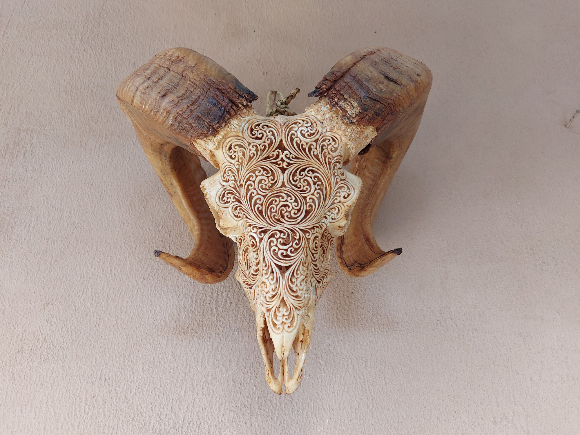Widderschädel 'Ram', antikbraun, B 60 cm, H 40 cm, L 30 cm von fischer's lagerhaus
