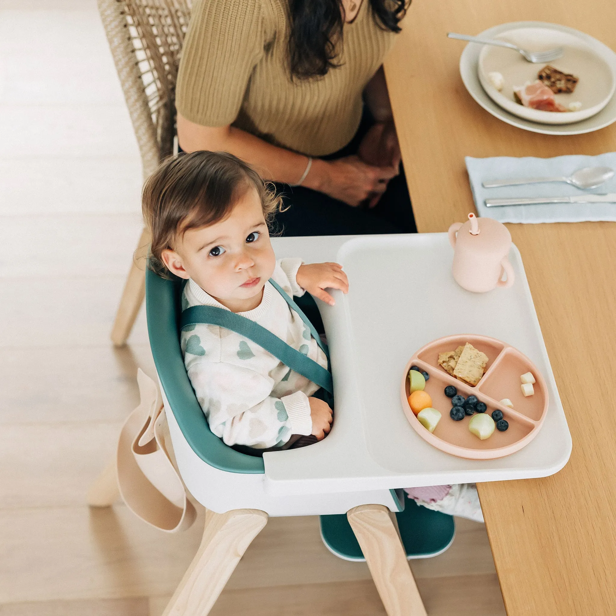 UPPAbaby Chaise Haute Ciro - Emrick