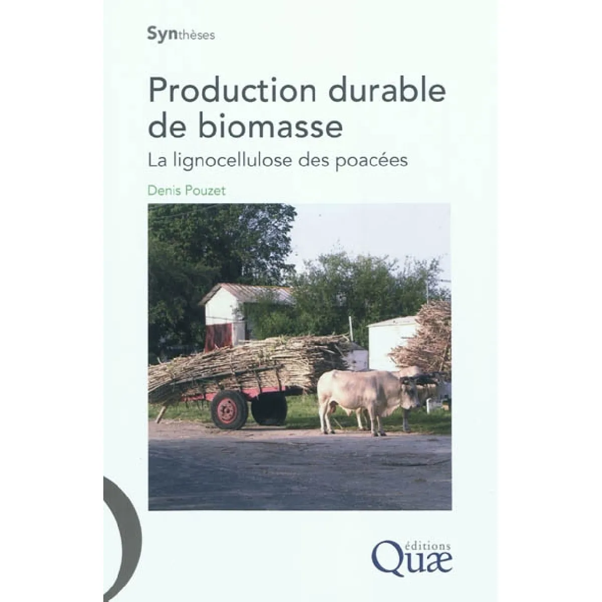 Production durable de biomasse : la lignocellulose des poacées · Occasion
