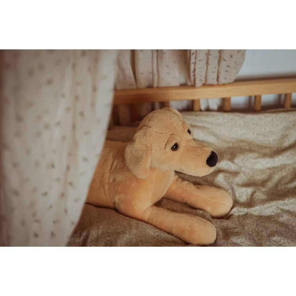 Køb by Astrup Tyngdedyr, Hund, 2,2 Kg.
