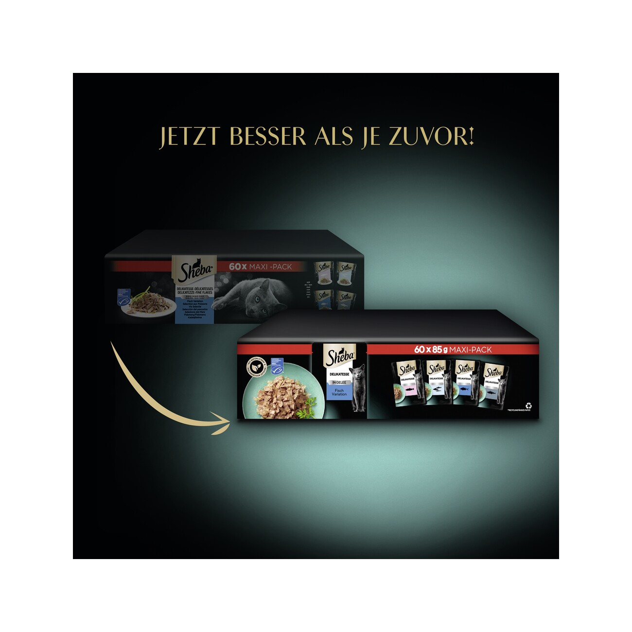 Sheba Delikatesse in Gelee 60x85g