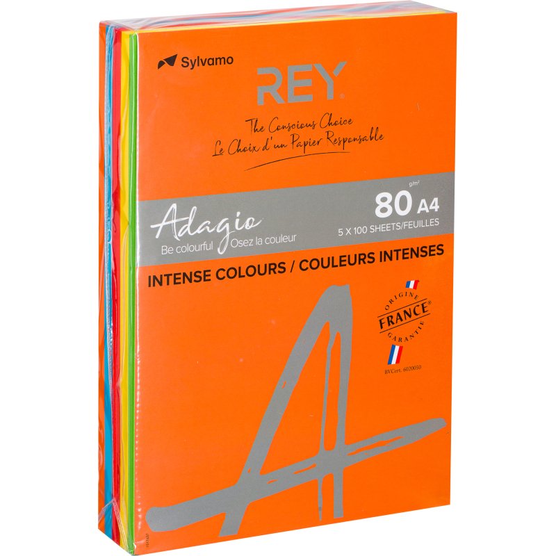 Papier A4 couleur 80 g Rey Adagio couleurs intenses assorties - Ramette de 5 x 100 feuilles