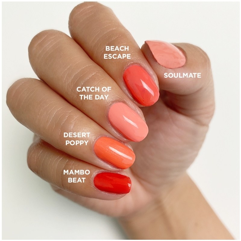 CND Vinylux Nail Polish 15 ml - Catch Of The Day #352