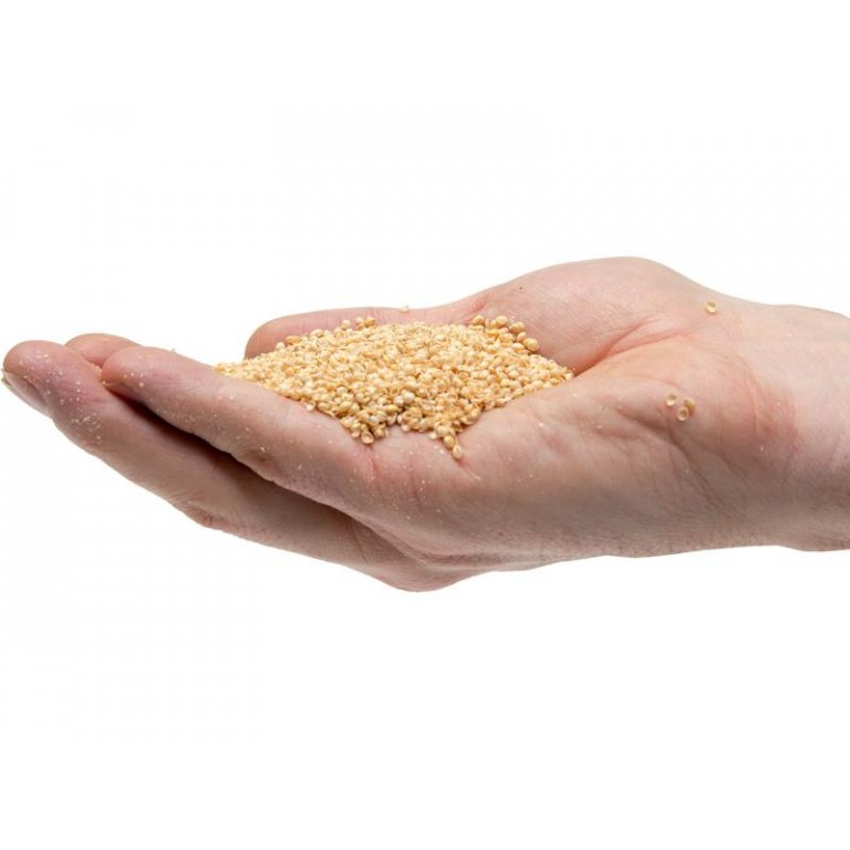 Bio Hirsespelz