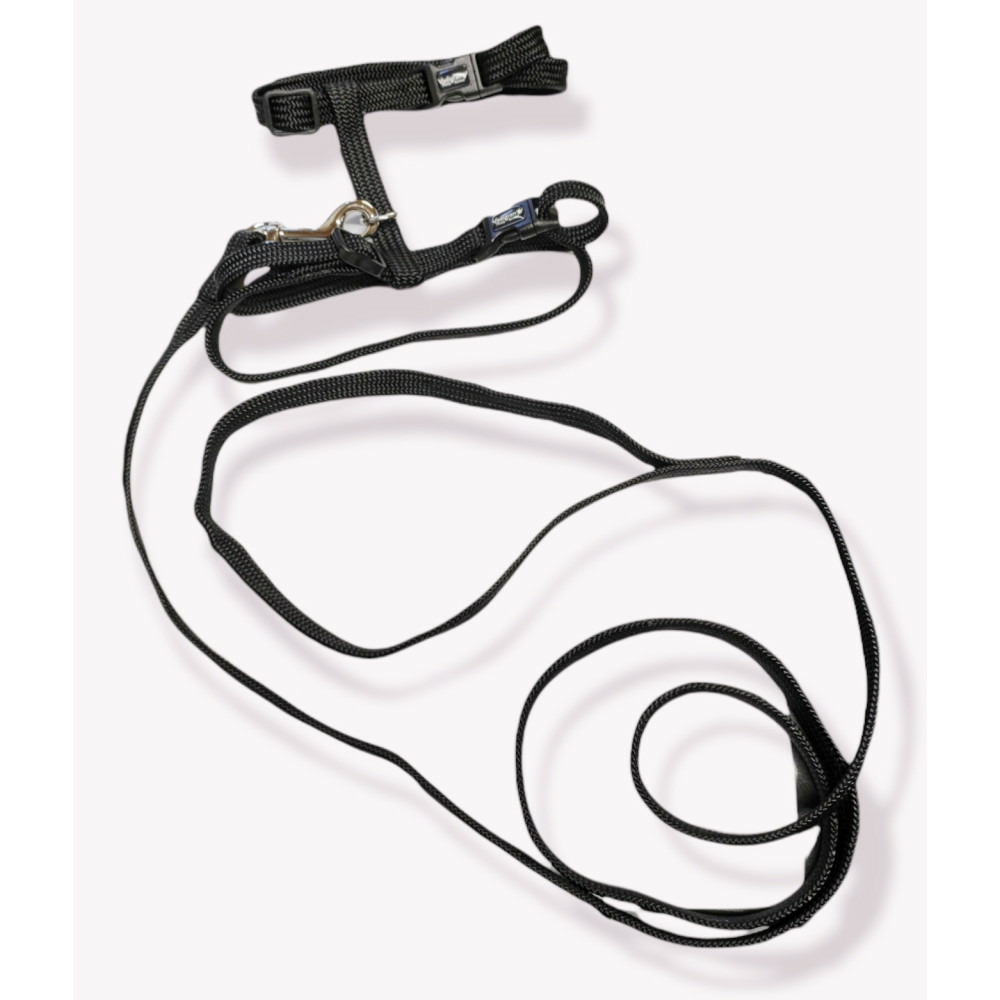 Harnais noir avec laisse 1.20m, classic, pour chat