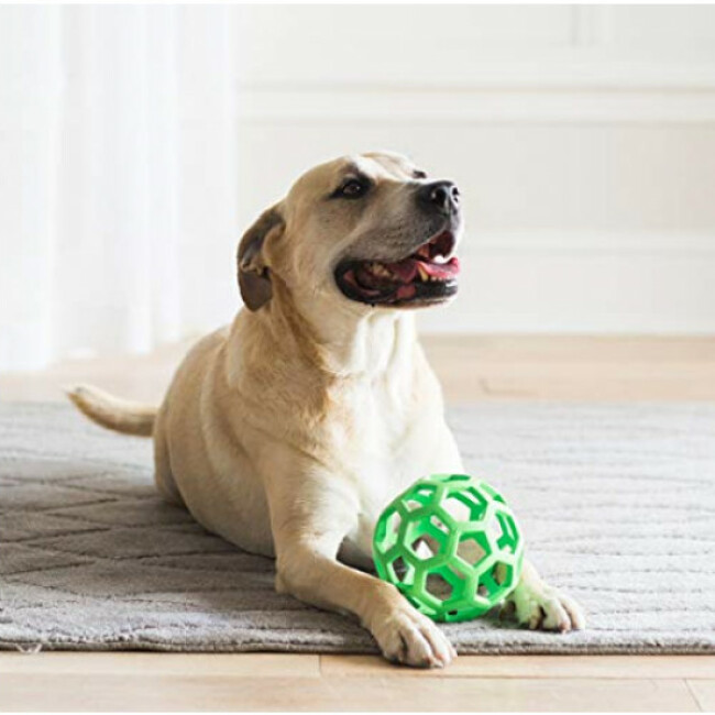 Balle perforée JW Hol-ee Roller pour chien