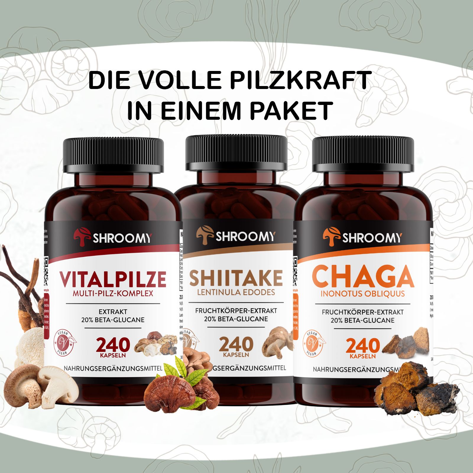 SHROOMY Vitalpilze, Shiitake und Chaga im Set