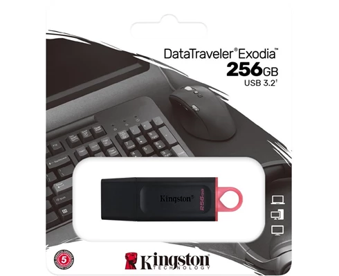 Kingston DataTraveler Exodia 256 GB
