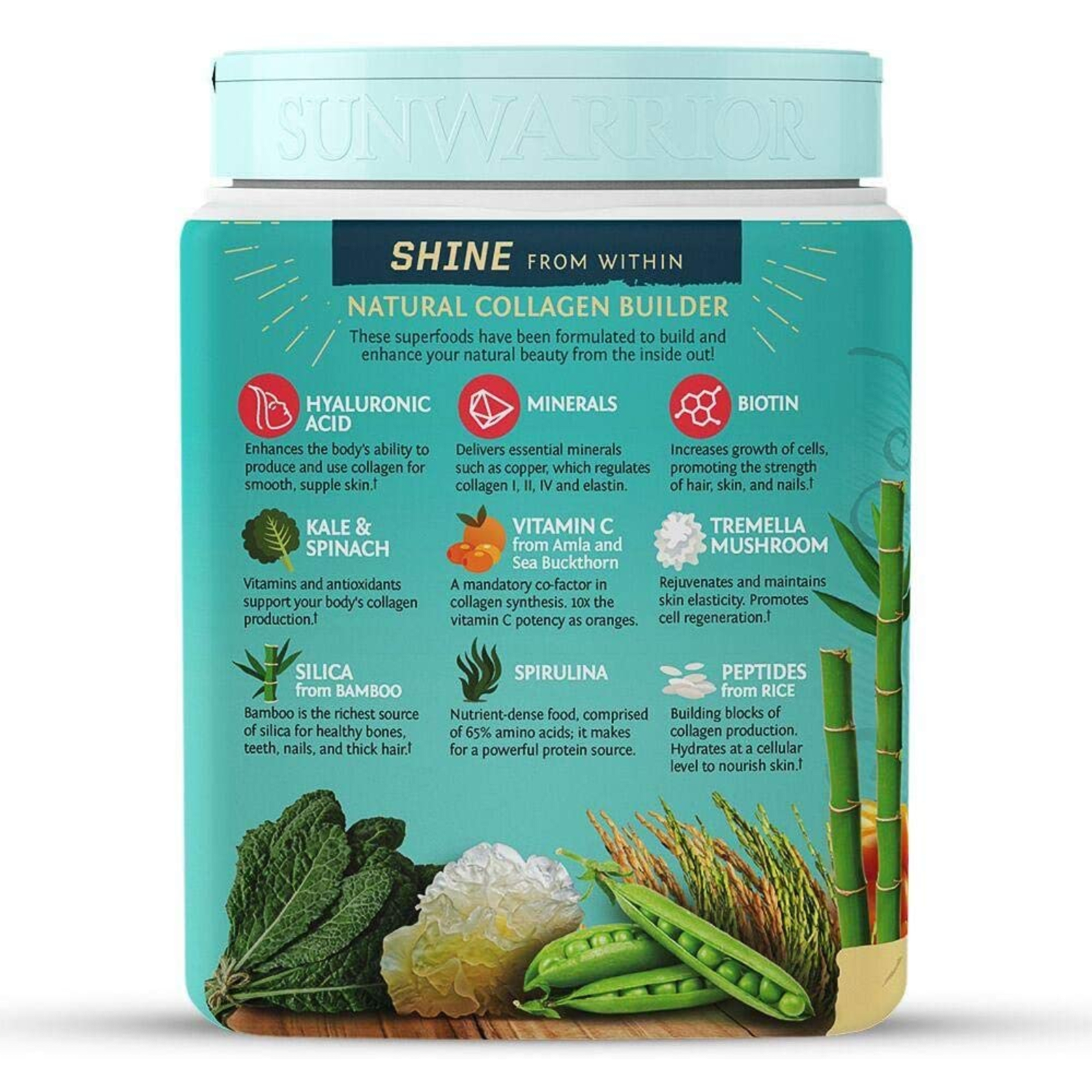 Collagen Building Protein Peptides (500g)