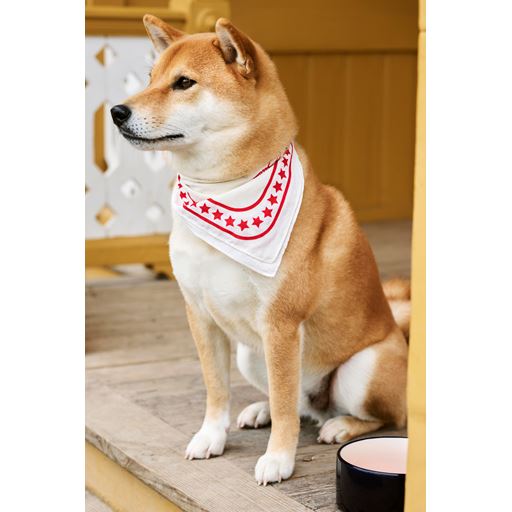 HAY Dog Hundetørklæde, Off-White