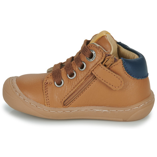 Aster - CHYOSO - Camel