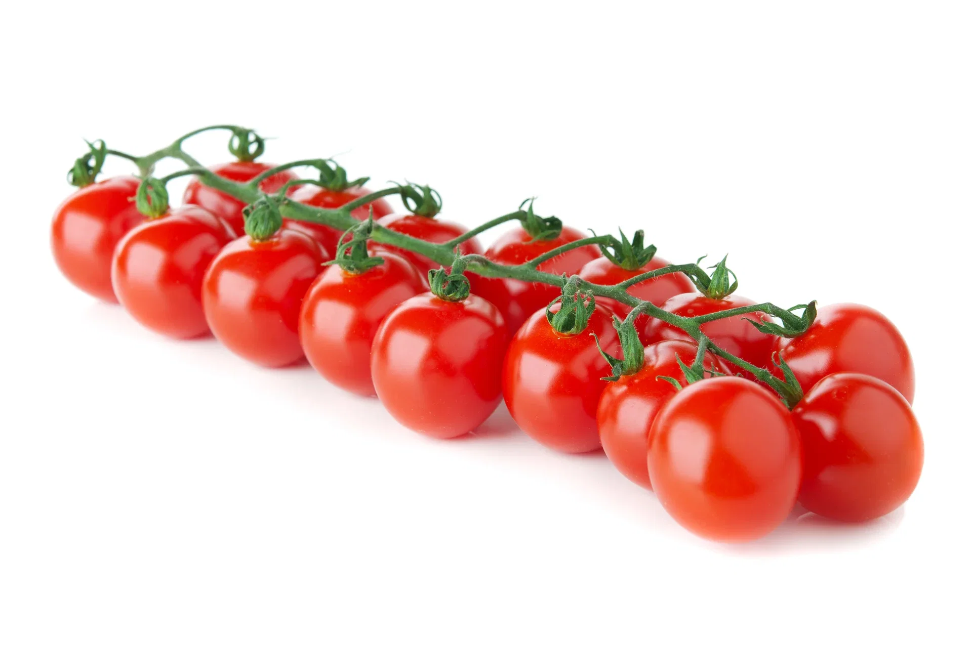 All Nature Lycopersicum cherry 'Red Cherry' 10,5 cm Cherrytomat ‘Red Cherry’ Ø10,5 cm