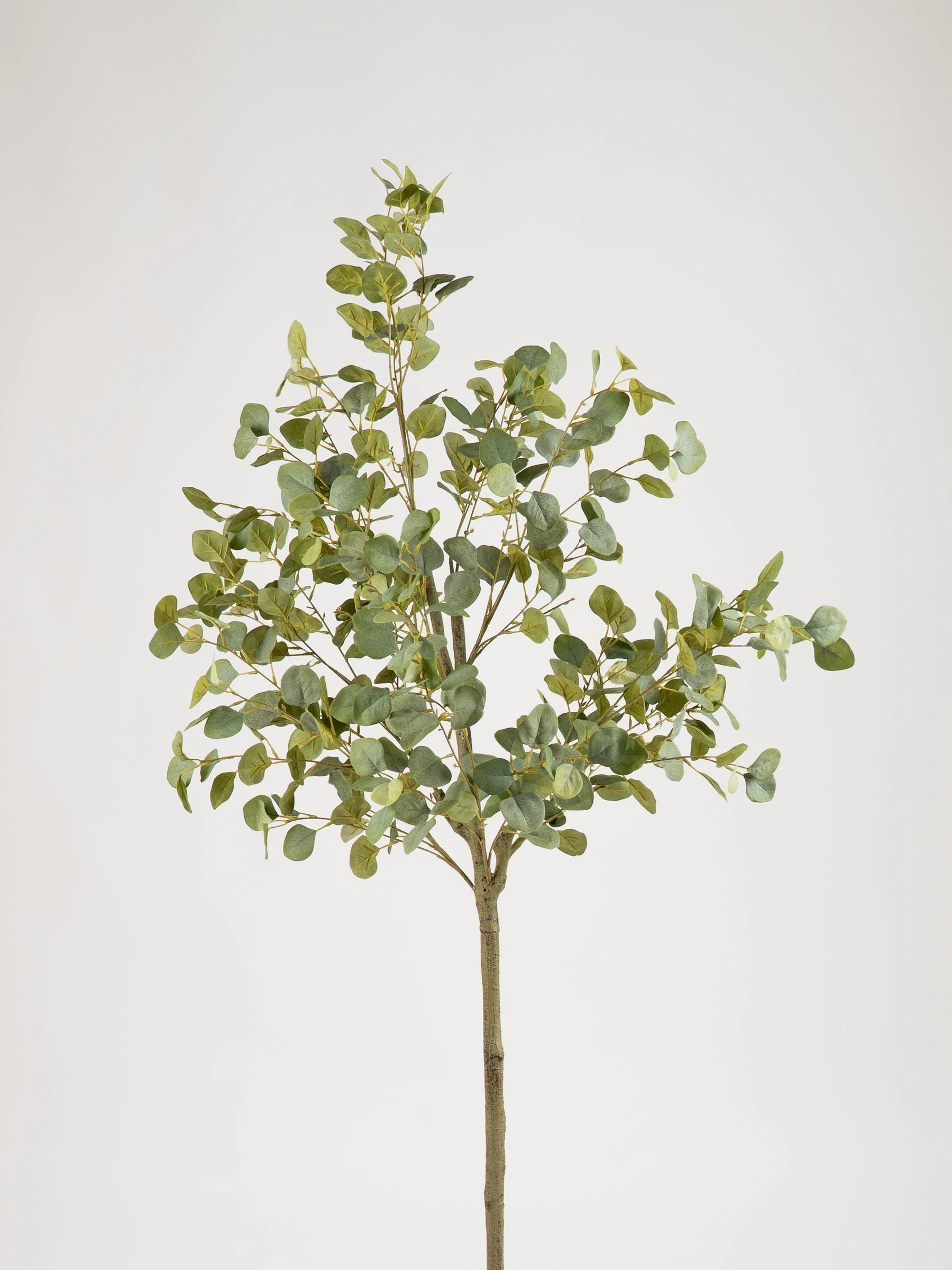 Scottish Everlastings Ltd kunstmatige eucalyptusboom in pot