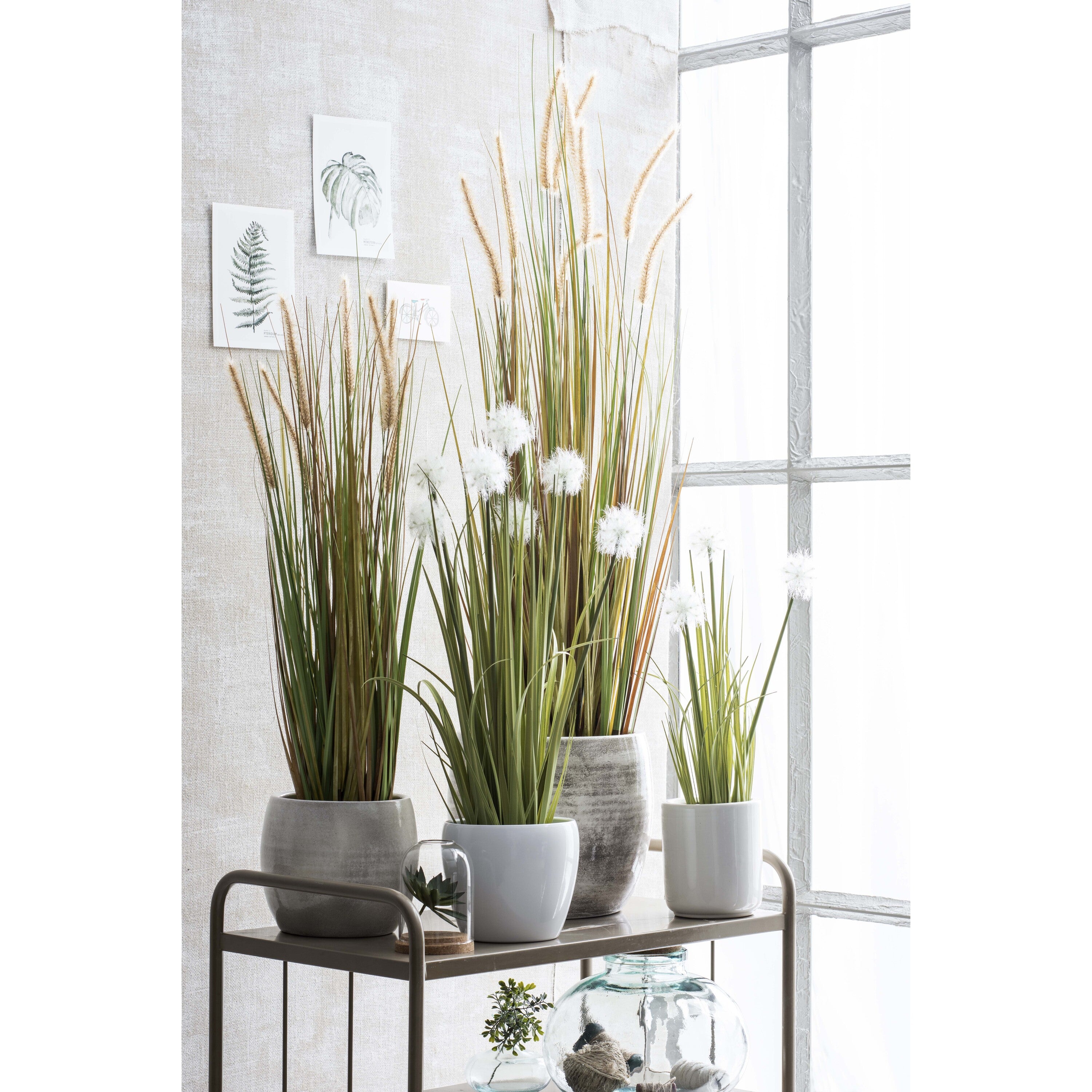 Mica Decorations Pluimgras Dogtail Kunstplant H92 cm