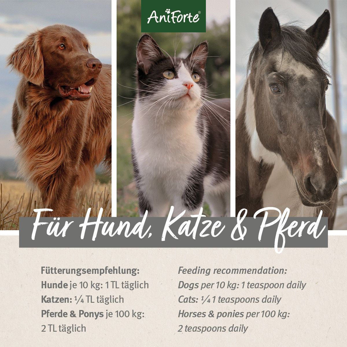 AniForte Bio Hanföl
