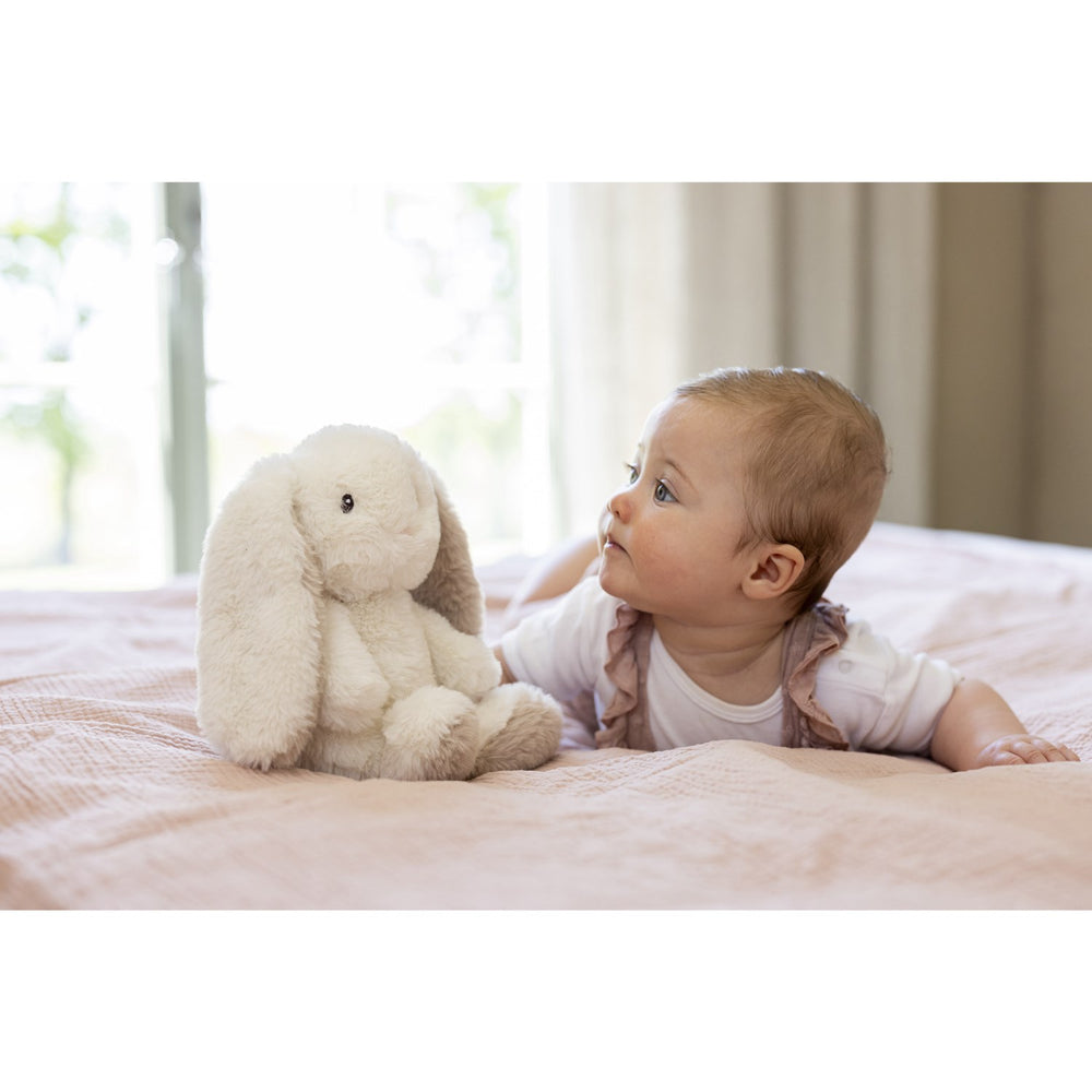 Køb Teddykompaniet Creme Teddy Mocca - Kanin, 25 Cm