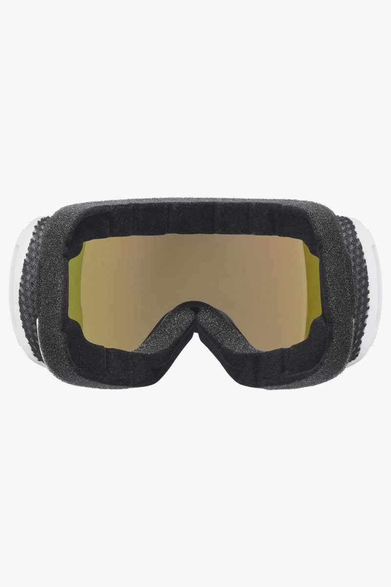 uvex downhill 2100 CV planet Skibrille