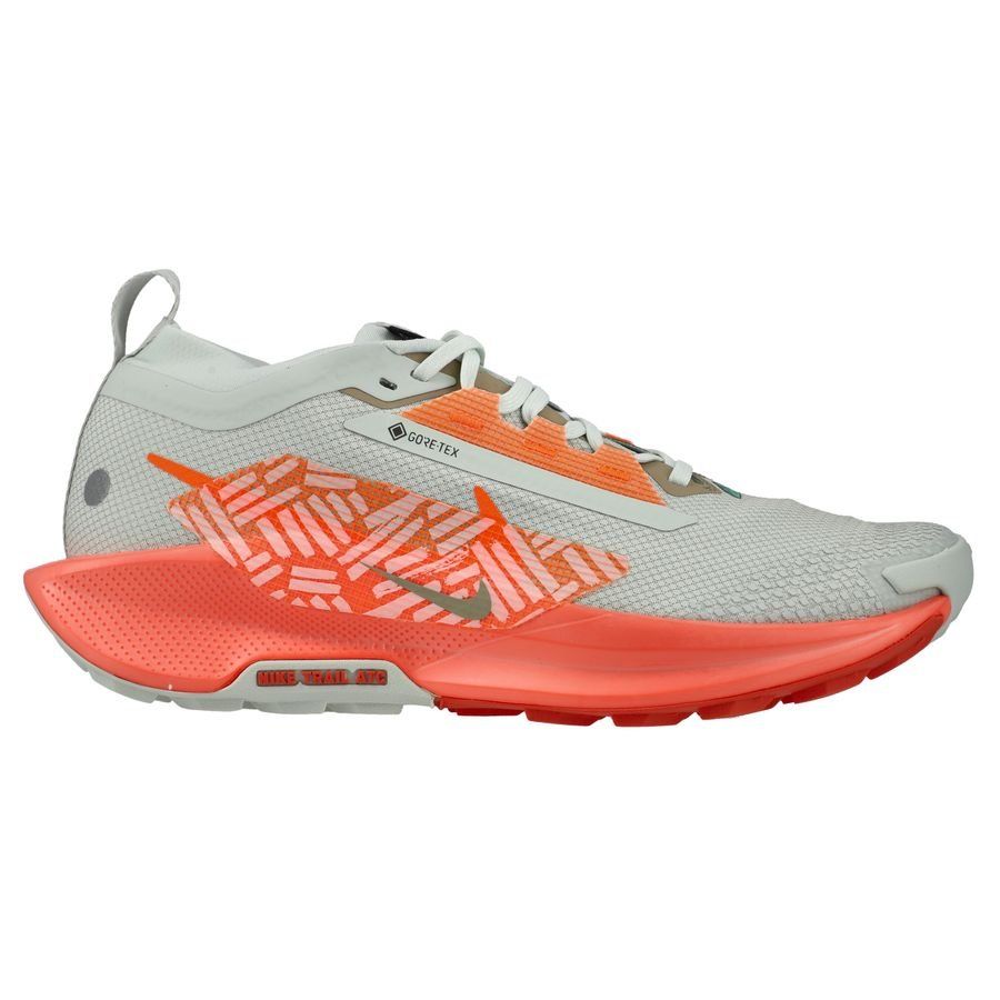 Nike Chaussures de Running Pegasus Trail 5 Gore-Tex - Argenté/Orange/Wild Mango Femme