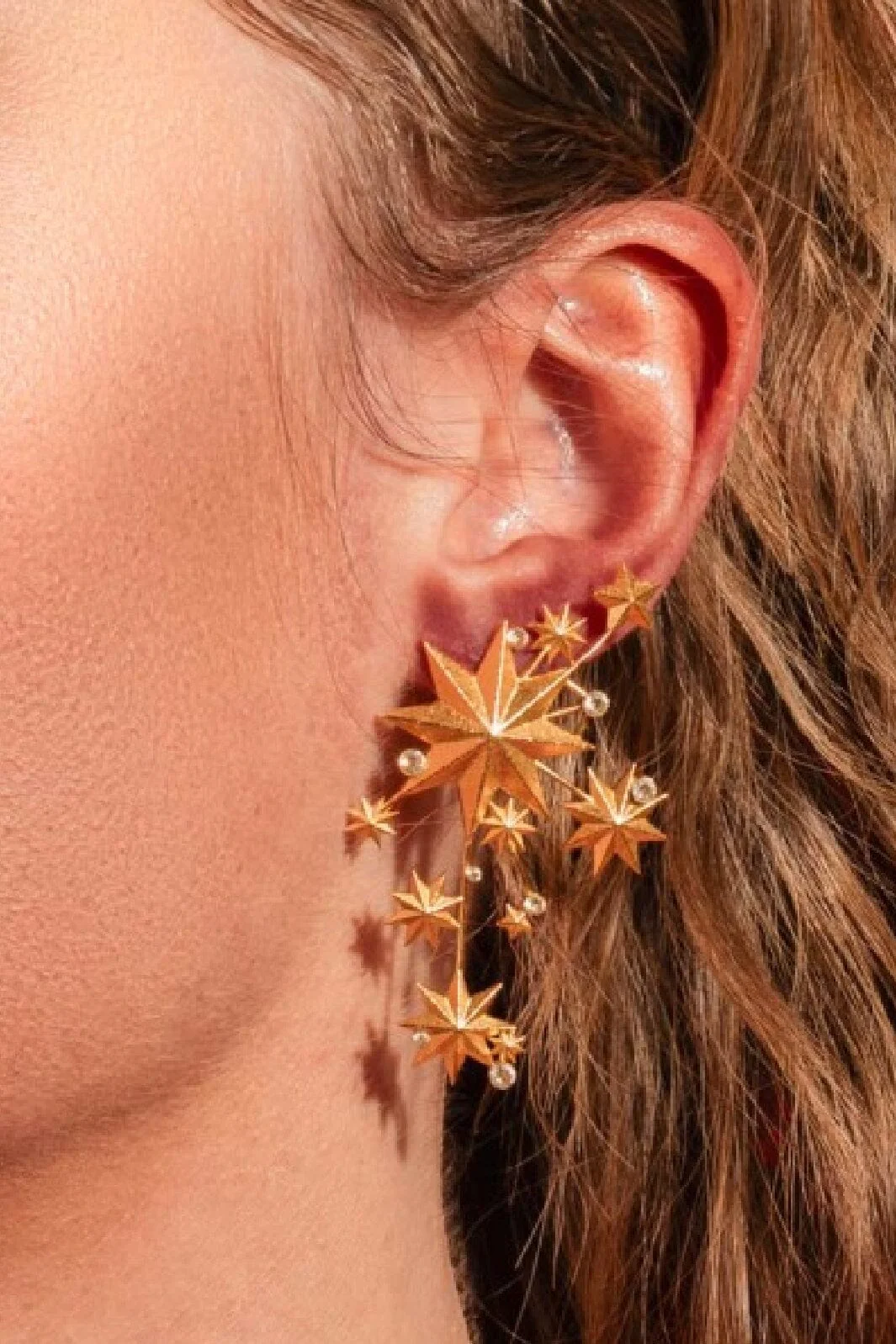 House Of Vincent Night Poetry Earrings