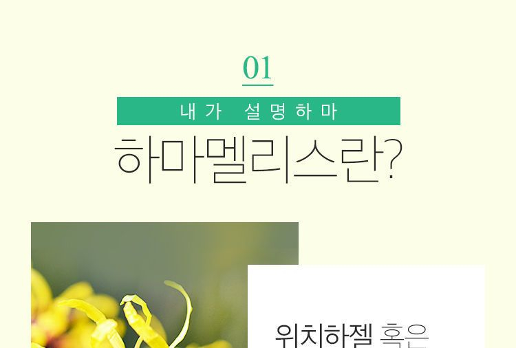A'PIEU - Hamamelis Crème 50ml