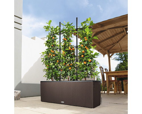 Lechuza Trio Cottage kunststof bloembak 100x32,5x34,5 cm mokka incl. zelfbewateringssysteem en waterniveau-indicator