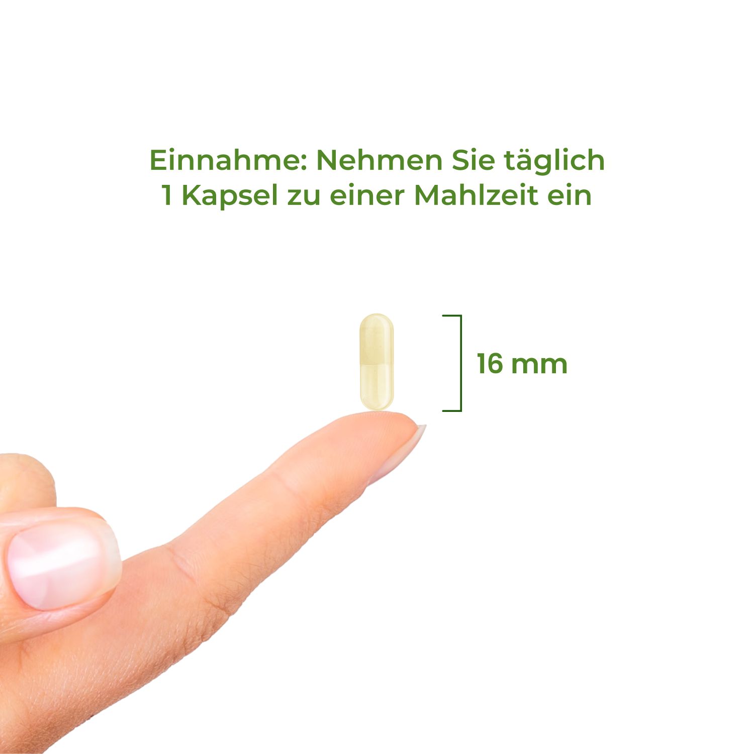 Folsäure 400 µg Bioaktiv - BioActive Folate Vitality Nutritionals