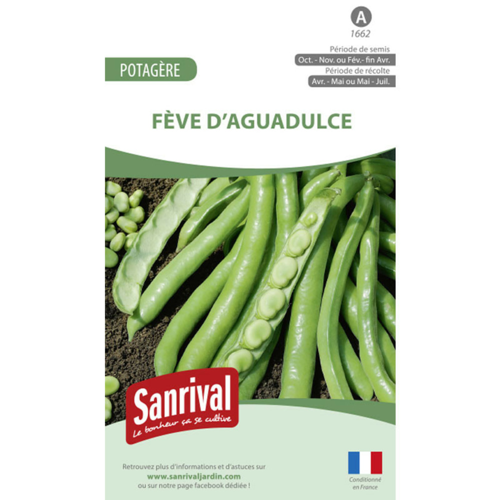 Graines fève d'aquadulce
