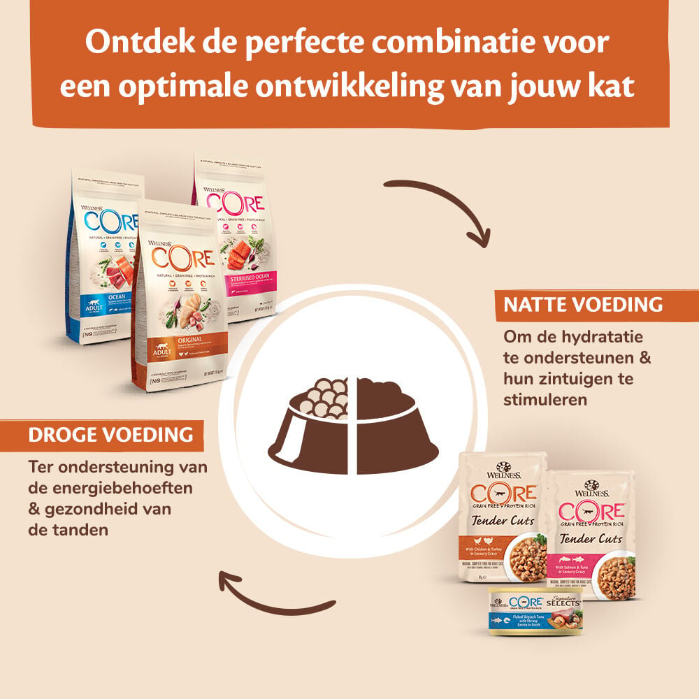 Wellness Core Tender Cuts - Kattenvoer - 85 Gram - zalm, kip