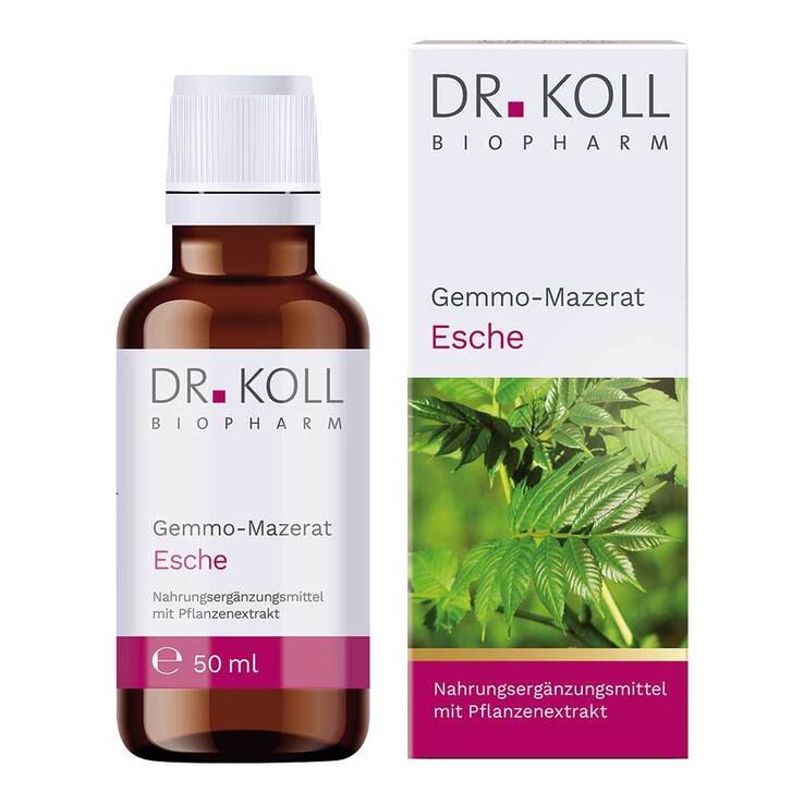 Gemmo-Mazerat Esche Dr. Koll Fraxinus excelsior Tropfen, 50 ml