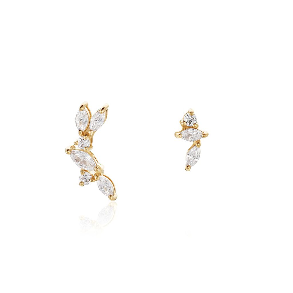 Boucles D'oreilles Dépareillées Jardins D'hiver Plaqué Or Oxyde