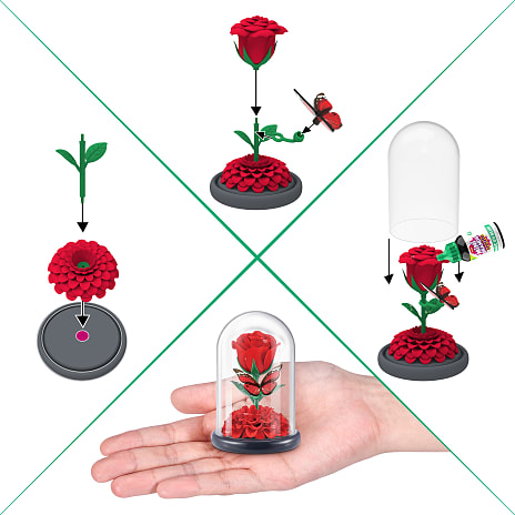 Botanical Garden Minis
