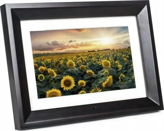 Kodak RDPF-1020W BK, 25,6 cm (10.1