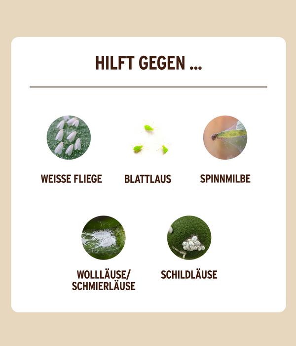 Substral® Naturen® Bio Schädlingsfrei Obst