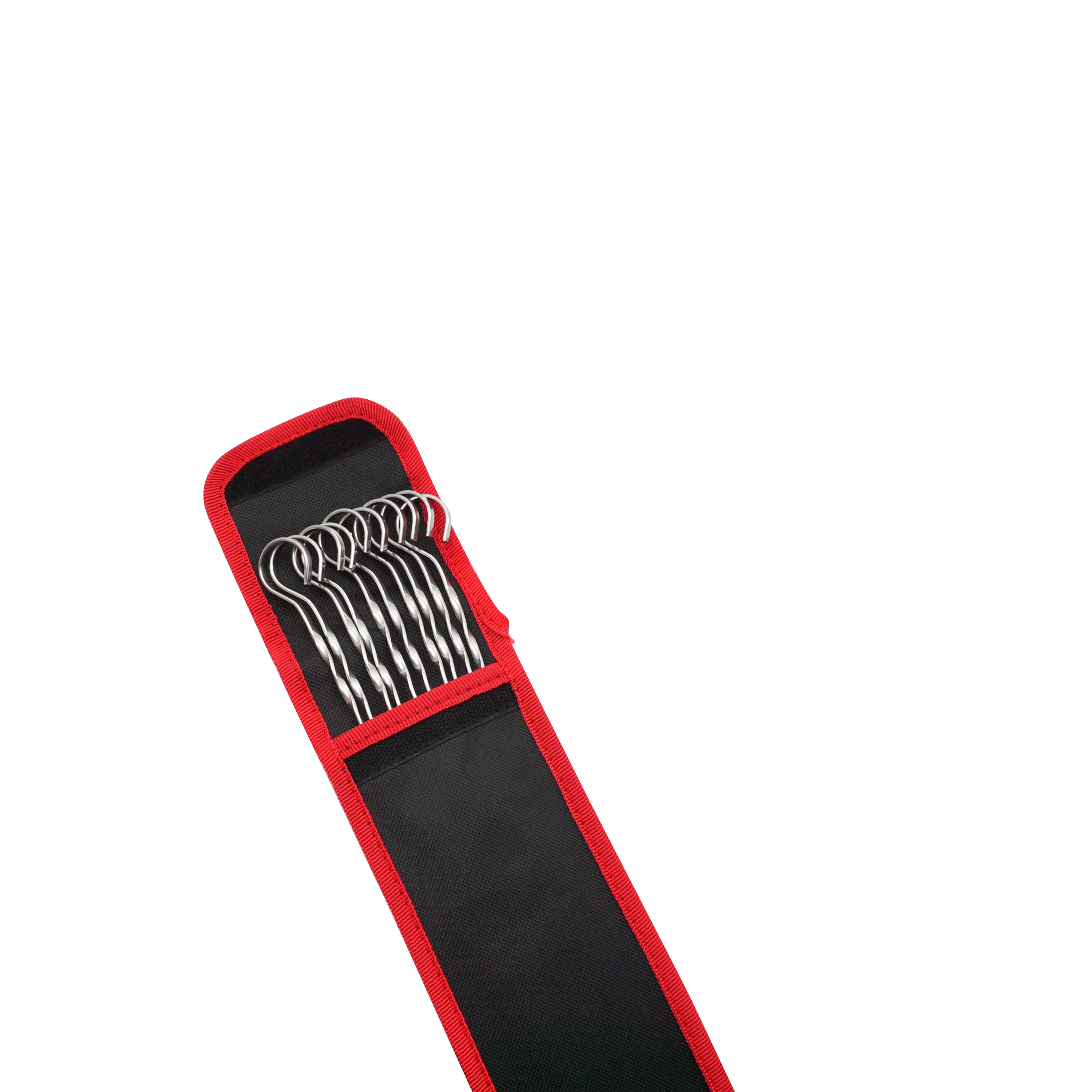 (10er Set) Edelstahl BBQ Grillspiess Wiederverwendbarer Schaschlik Spiess mit Aufbewahrungstasche - Silber