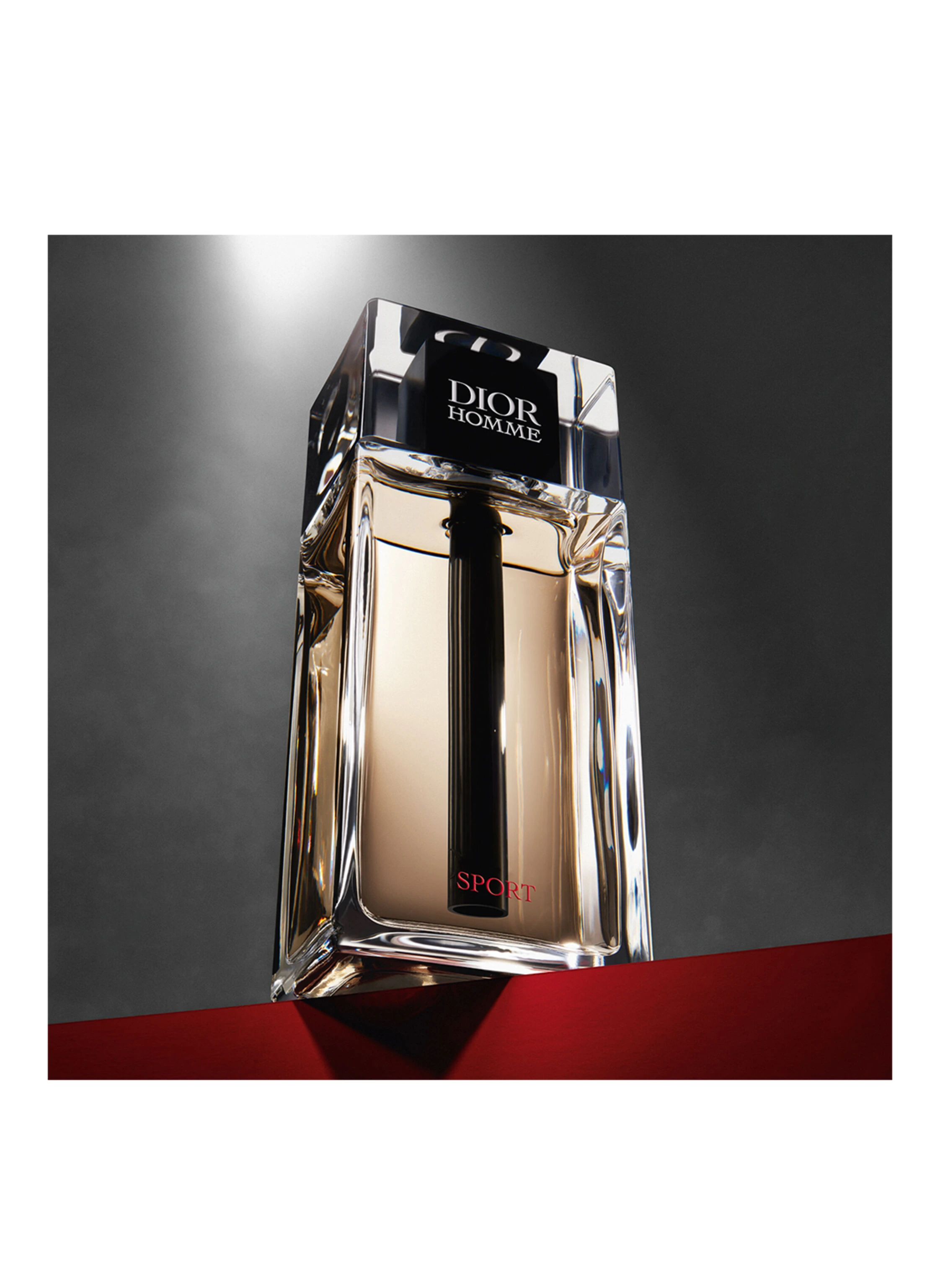 DIOR DIOR HOMME SPORT