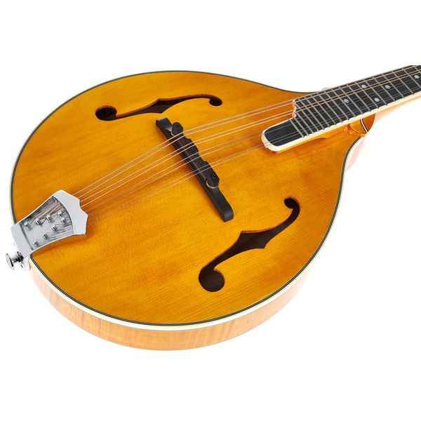 Richwood RMA-110-VS A-Style