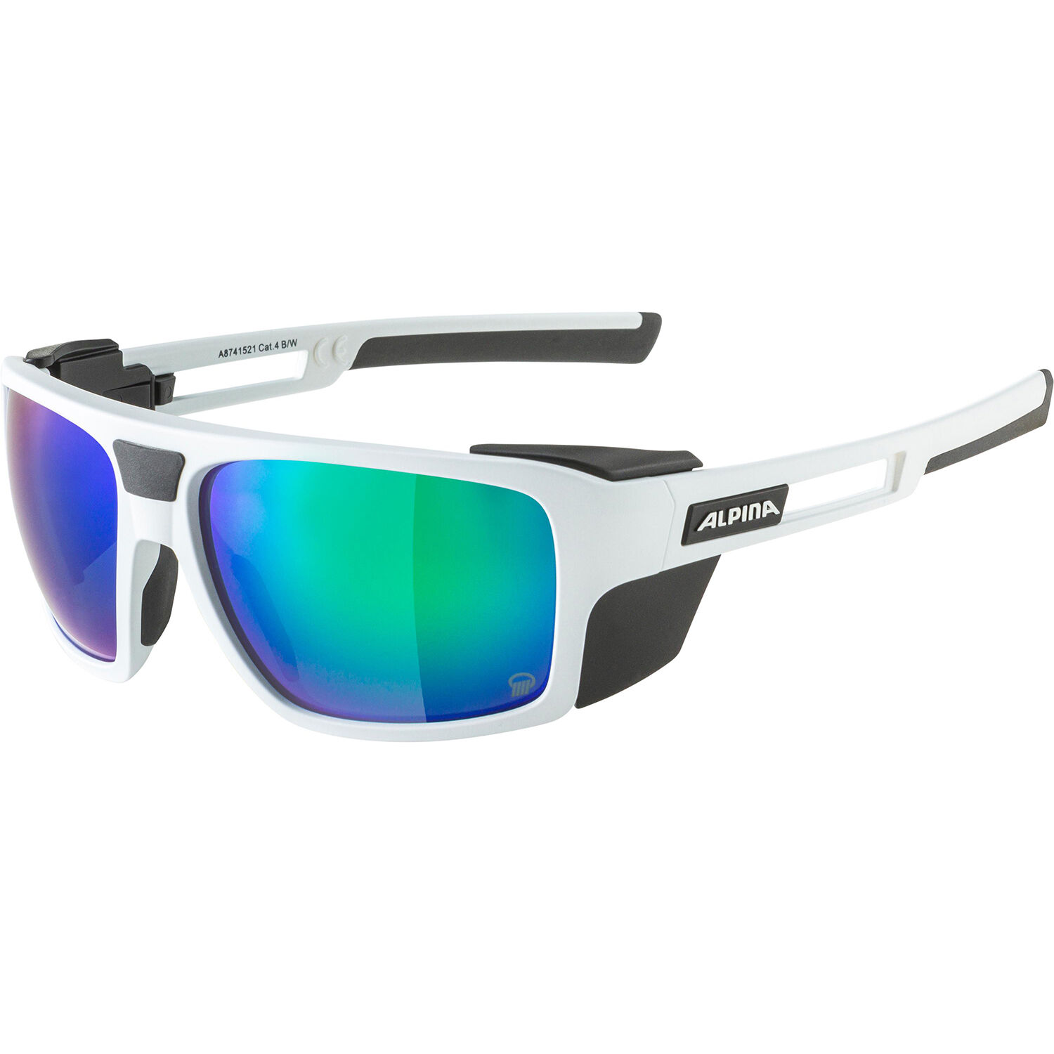 AlpinaSKYWALSH Q
