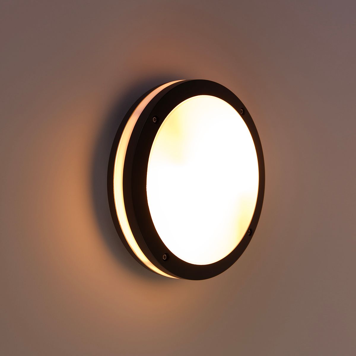 Wand- en plafondlamp donkergrijs 2-lichts IP54 - Glow