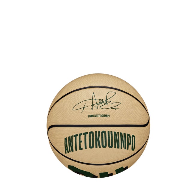 NBA Player Icon Mini Basketball – Giannis