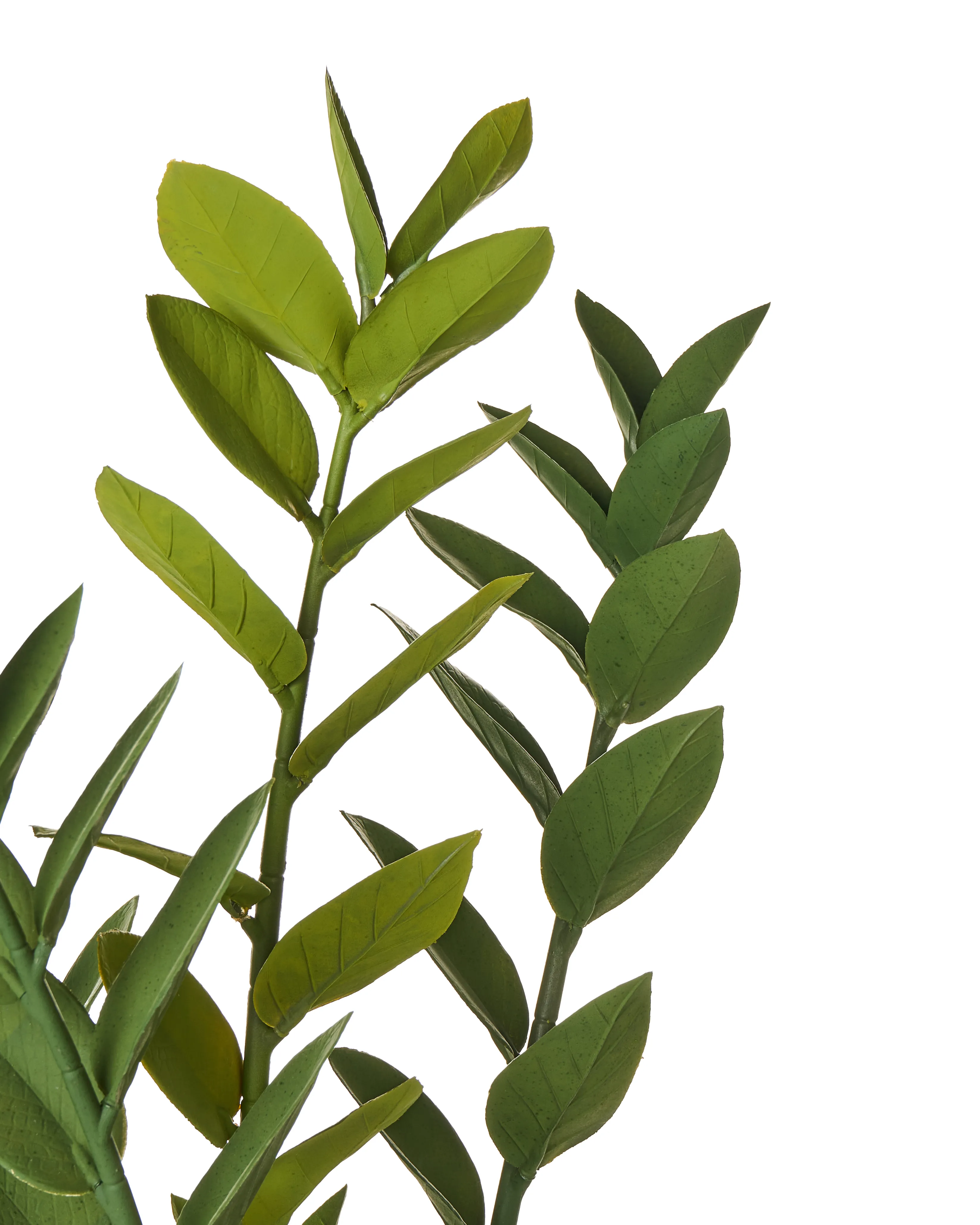 Kunstplant ZAMIIFOLIA 76 cm Groen