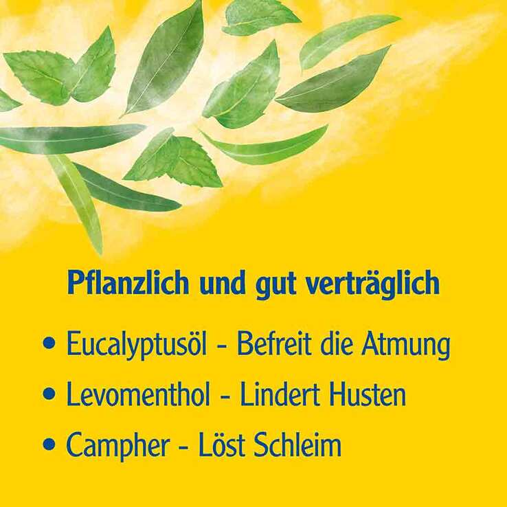 Pinimenthol® Erkältungsbad ab 12 Jahren, 125 ml