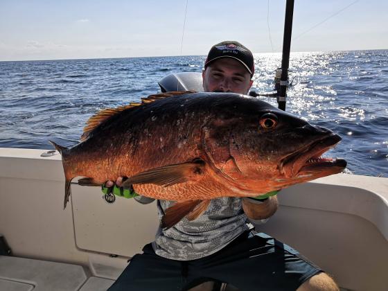 Blank Silverback 80lb 2.38 m 80lb