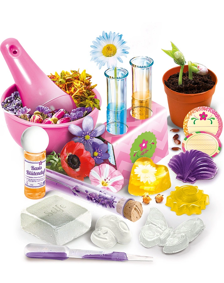 Blütenträume (Experimentierkasten)