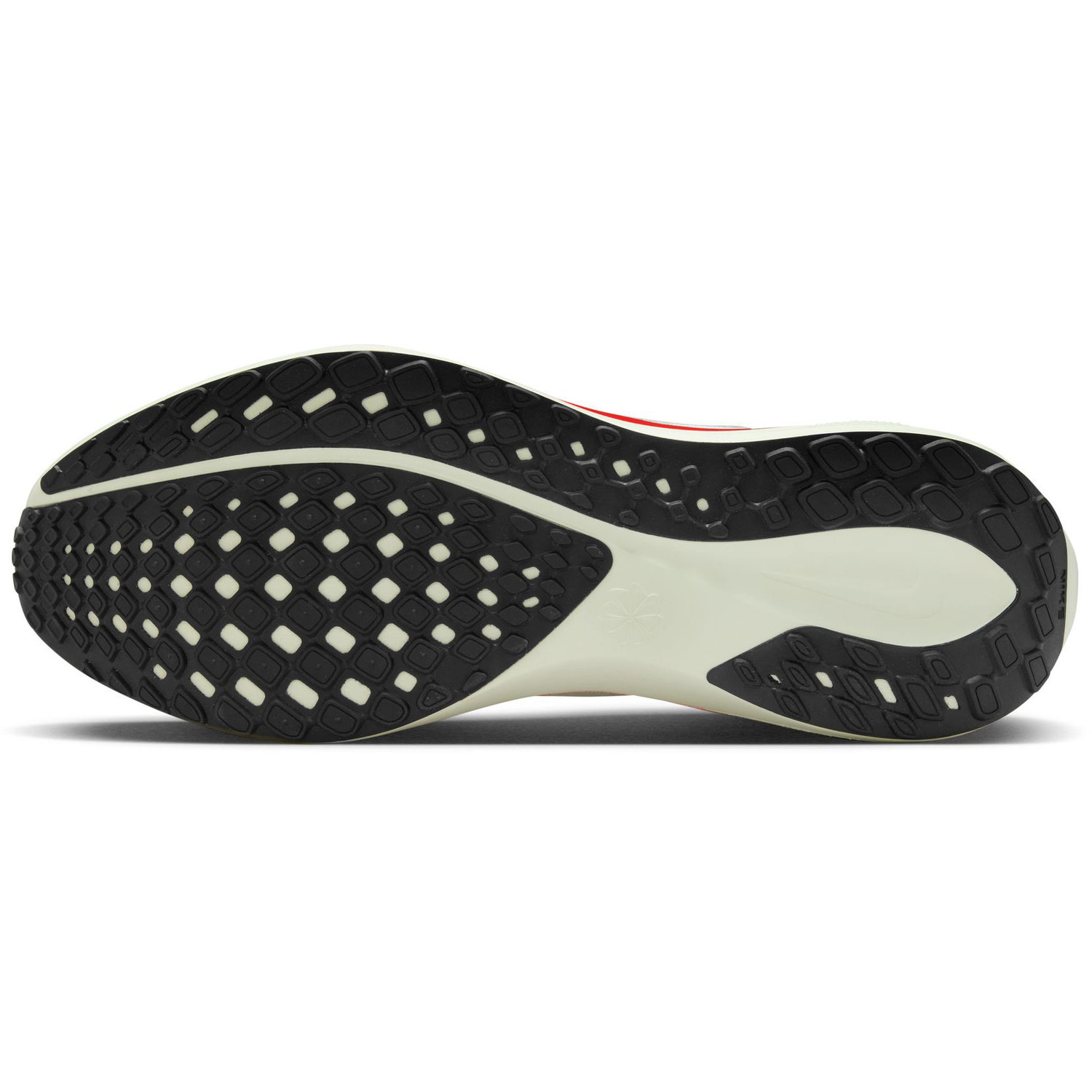 Nike Pegasus 41 Heren