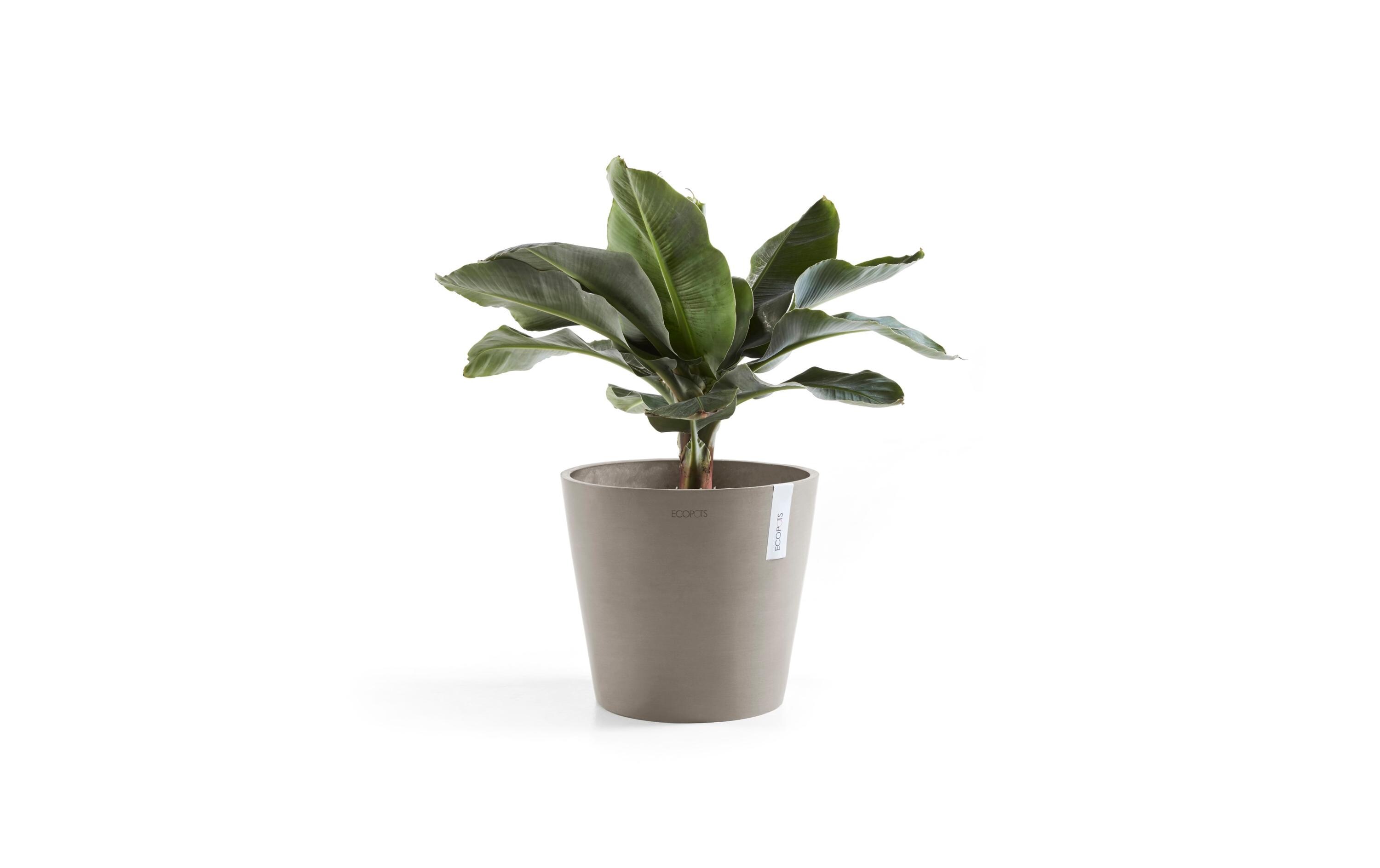 Pflanzentopf Amsterdam 30, French TaupeRobuster und langlebiger Blumentopf